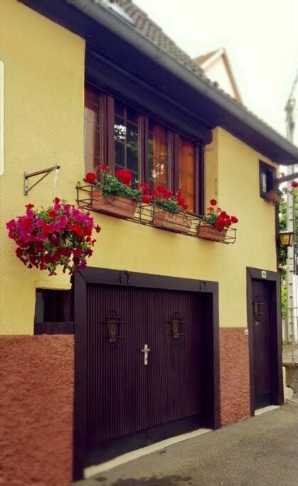 Chez Mamema, Maison Alsacienne Route Des Vins คินท์ซไฮม์ ภายนอก รูปภาพ